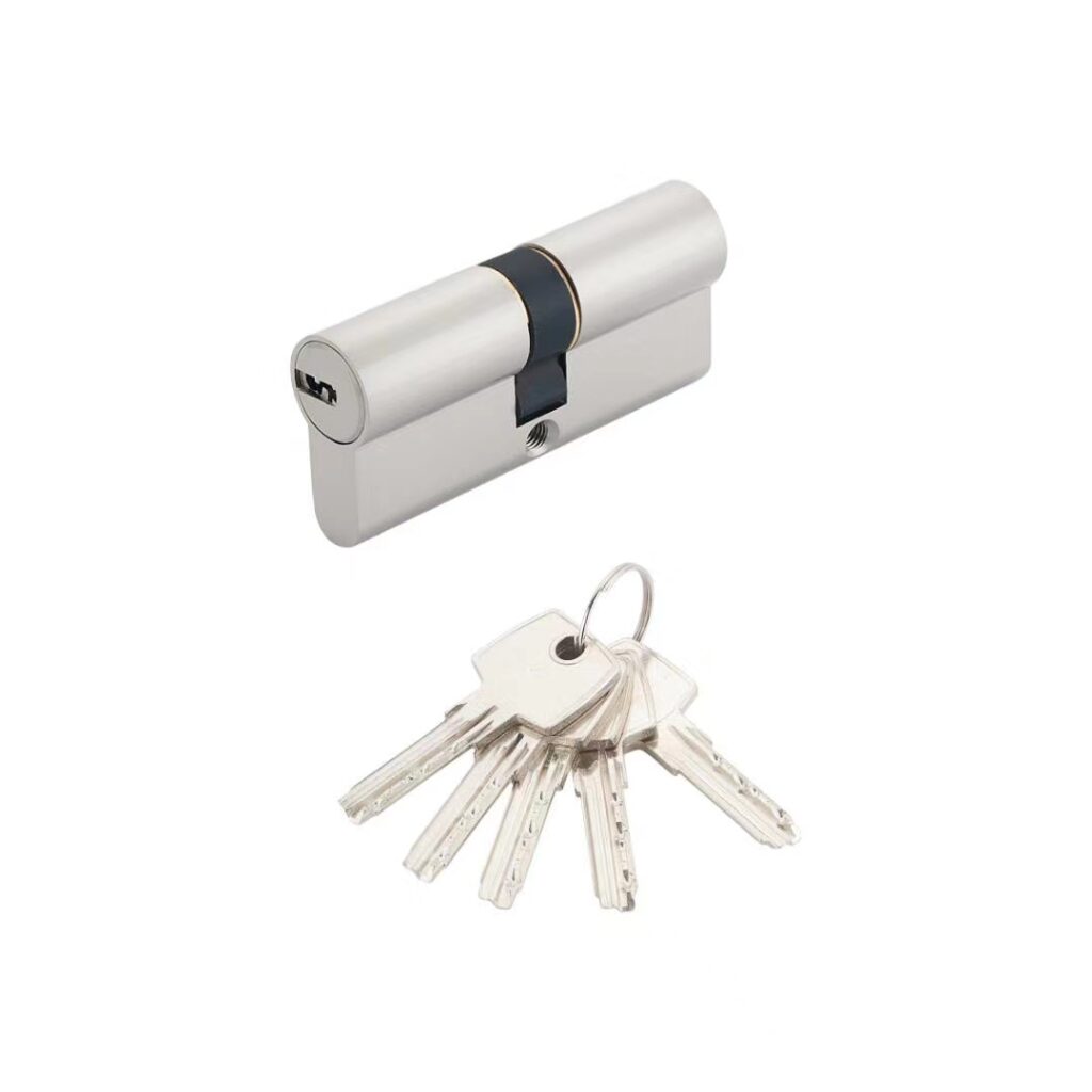 Euro lock cylinder with computer key