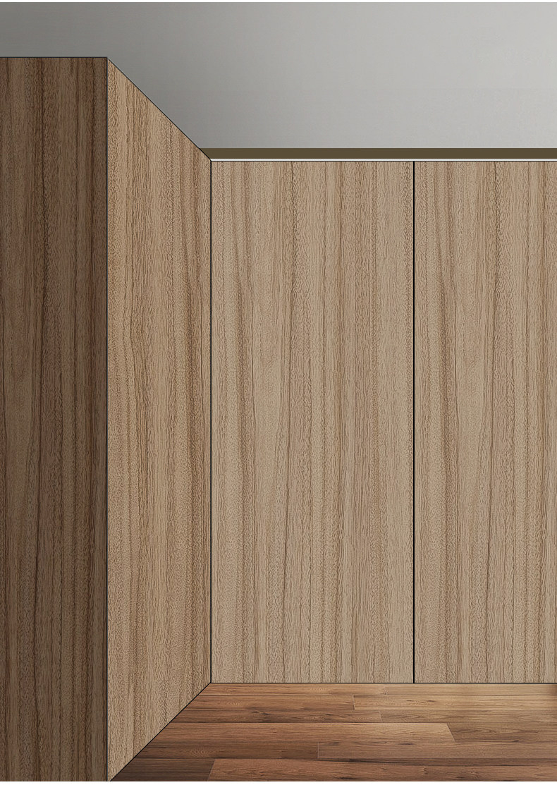Hydraulic Concealed Hinges