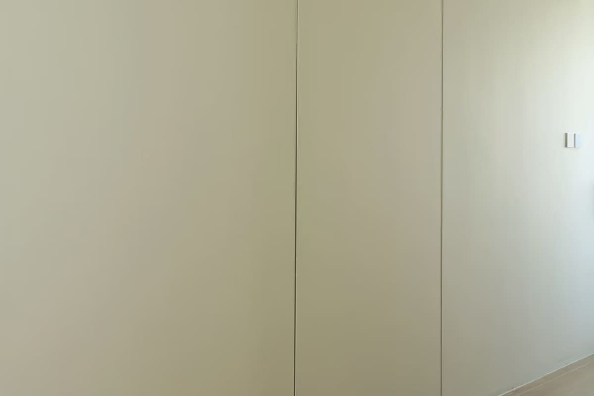 hidden hinges for entrance door
