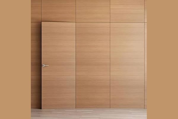 same color wall hidden door same color wall hidden door