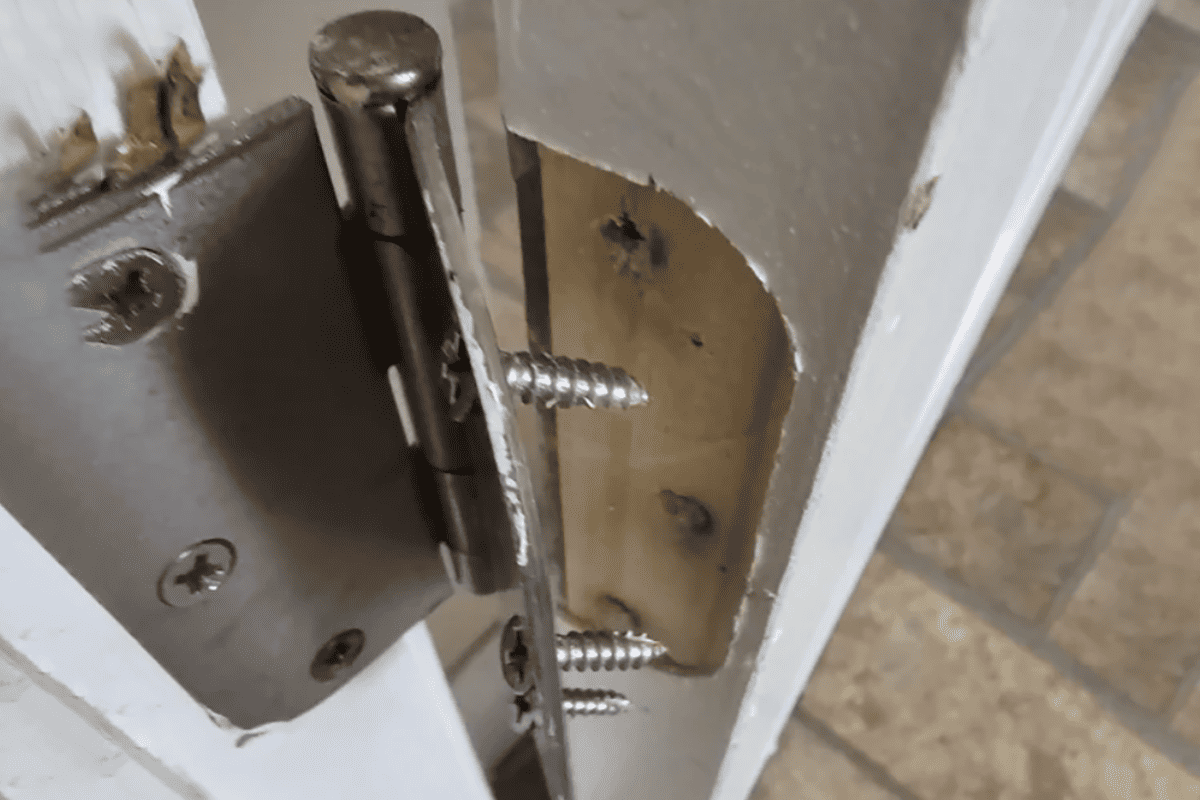 Main types of door hinge screws main types of door hinge screws machine wood and tek